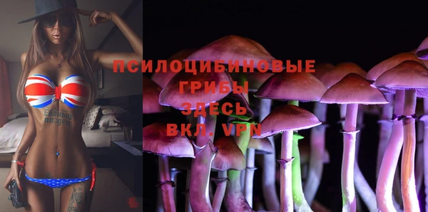дмт Белокуриха