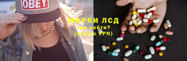 шишки Белоозёрский