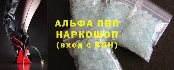 эйфоретик Богданович