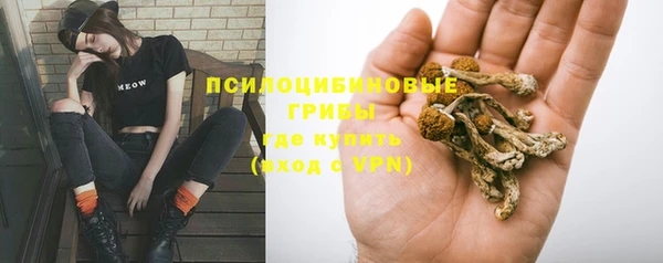 стаф Беломорск