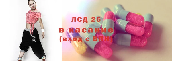 шишки Белоозёрский