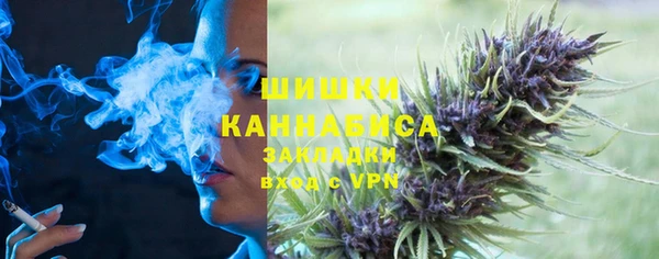 дмт Белокуриха