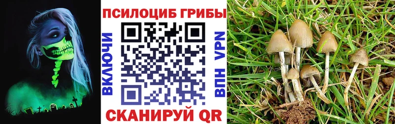Галлюциногенные грибы MAGIC MUSHROOMS  Абакан 